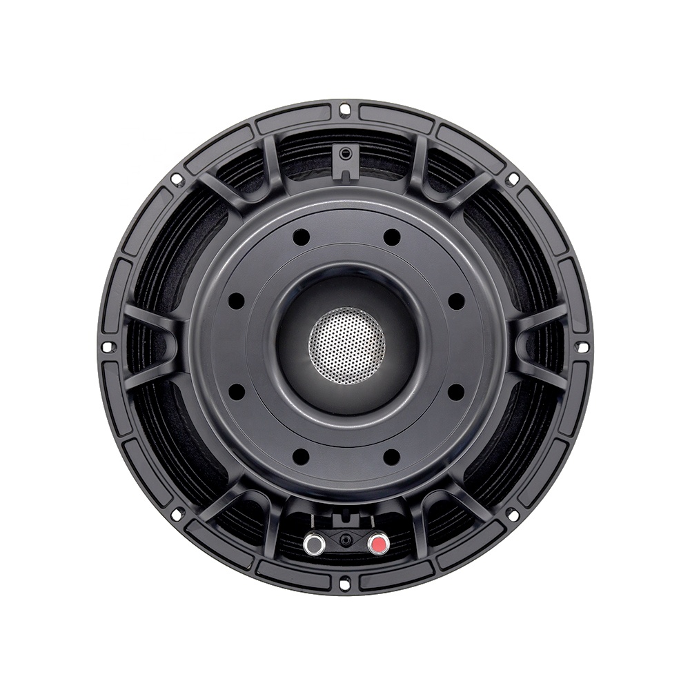 Audio & Music Settings Xbox One - Profesjonalny sprzęt audio 12DS, głośnik 12-calowy,