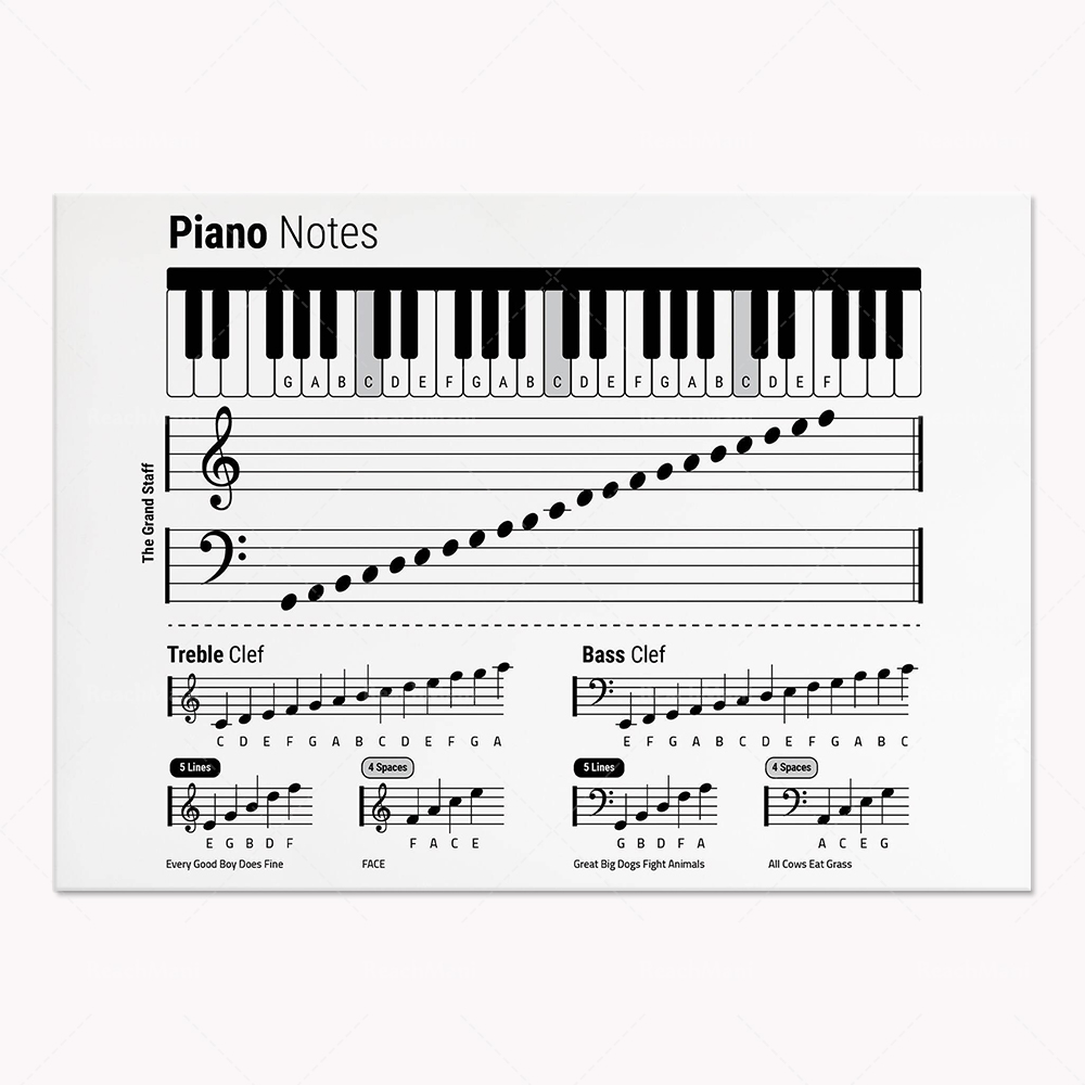 Teoria gitarowe, pianino, widm – Audio To Music Sheet recenzja i cena